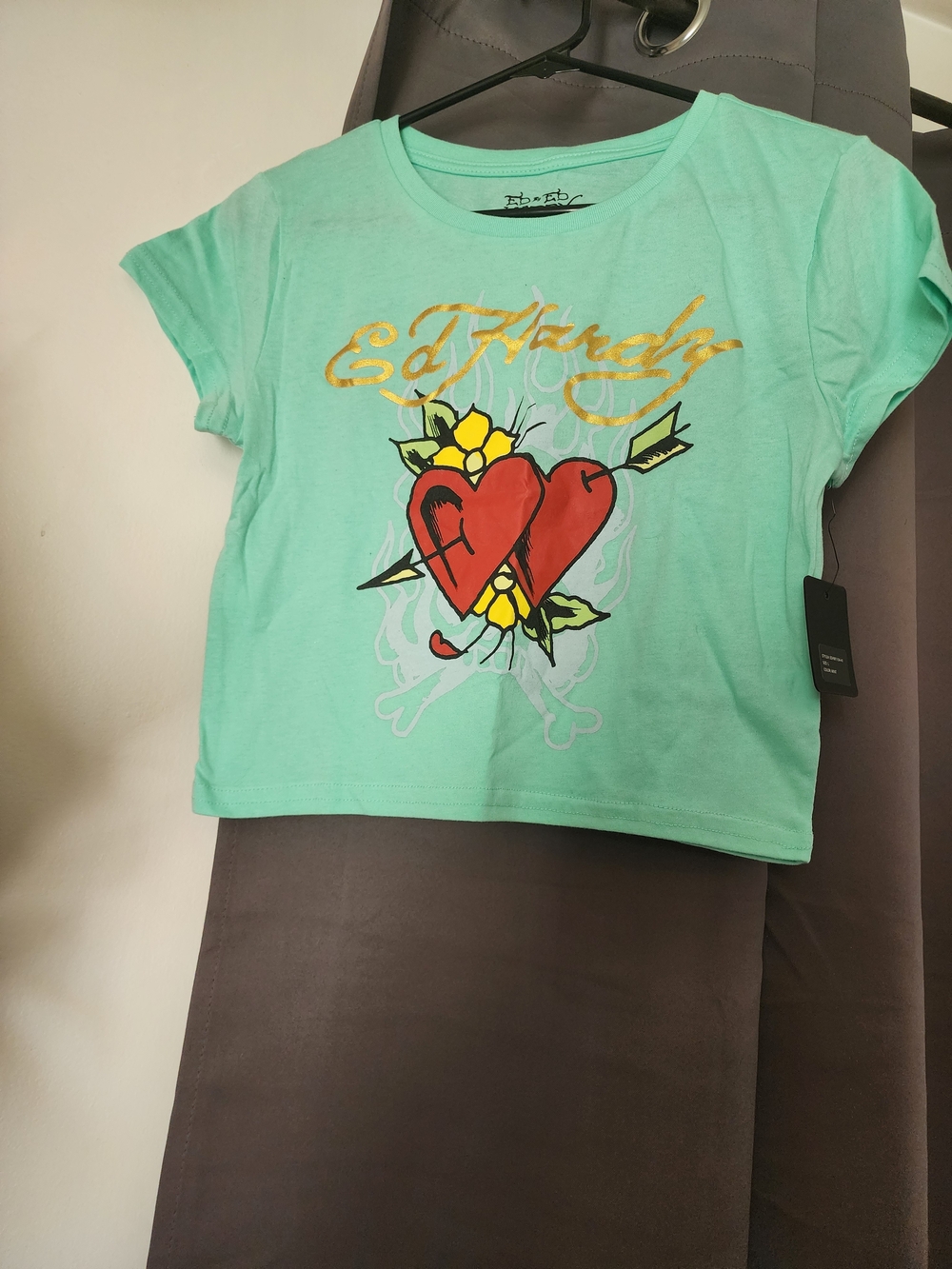 Ed Hardy Mint Green Cropped Tee with Red Heart Graphic